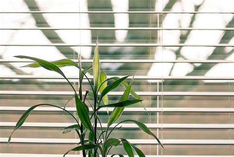 How to Install Window Blinds: A Step-by-Step Guide - Working Daddy