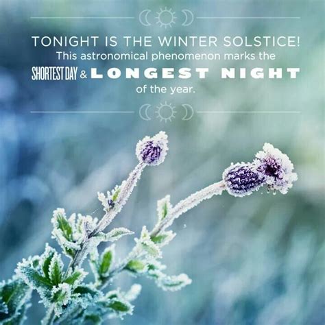 Winter solstice - shortest day, longest night of the year | Winter ...