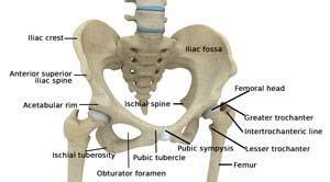 Hip Surgery Boston MA | Hip Joint Pain Treatment Manchester MA