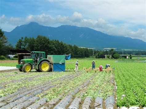 Growth And Innovation: Overview And Opportunities Of Agritech In Japan 2022 - Tokyoesque