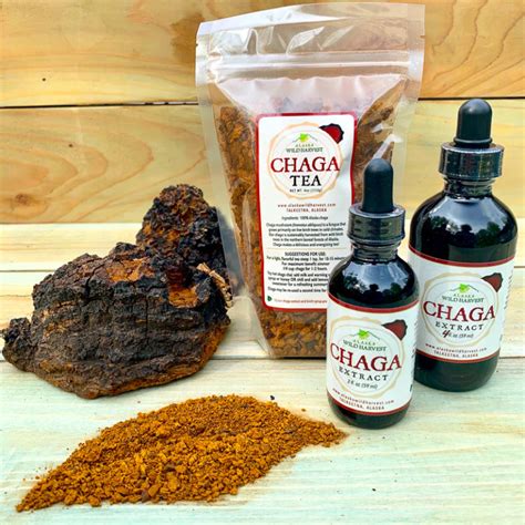 Chaga Tea and Extract Combo - Alaska Birch Syrup and Wild Harvest