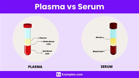 Plasma vs Serum - Key Differences Explained