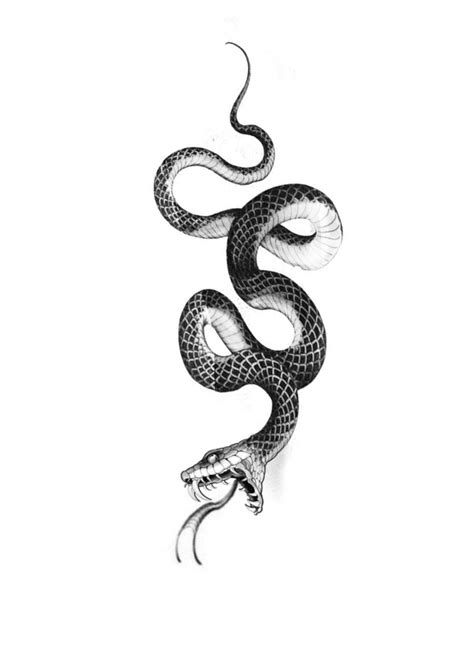 215 king cobra tattoo ideas 2023 tattoosboygirl – Artofit