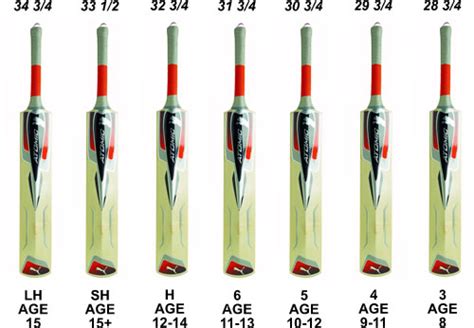 Cricket 360: Cricket Bat Size Guide