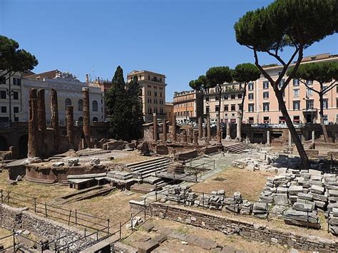 Archaeometry also confirms that the Curia Pompeia in Rome was built in several phases – Popular ...