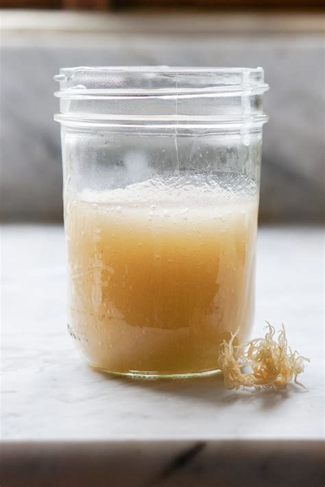 What is Sea Moss, Benefits, How to Make Irish Sea Moss Gel