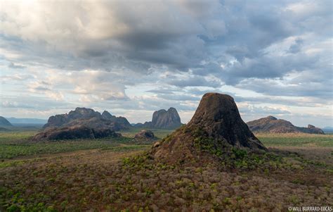 Niassa Reserve | Will Burrard-Lucas