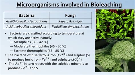 Bioleaching