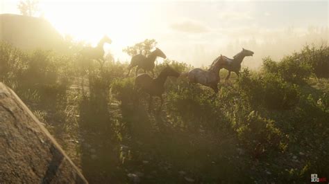 All Horse Breeds in RDR2 & Red Dead Online: Full Guide