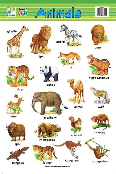 38 Printable Animal Charts in 2020 | Learning english for kids, Teach ...