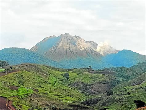 Coffee farming to be barred at Mt. Apo – The National Policy