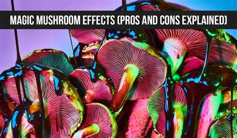 Magic Mushrooms Effects 🍄 (Pros And Cons Explained)