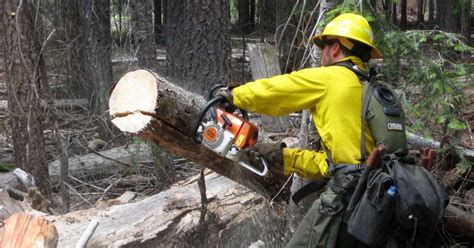 Do the Safety Stance: Essential Chainsaw Safety Gear