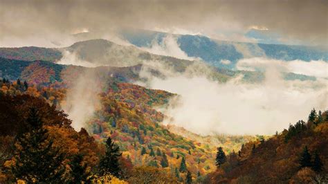 Las Grandes Montañas Humeantes: el parque nacional más popular de EE.UU.