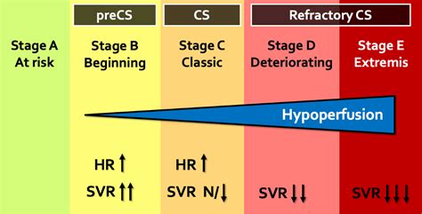 Mastering the myocardium: Cardiogenic Shock - EMOttawa Blog