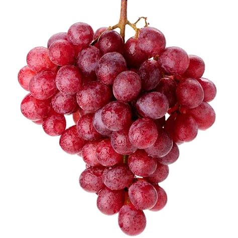 Red Globe Grapes | Online plant store in Lahore | Gulab.pk