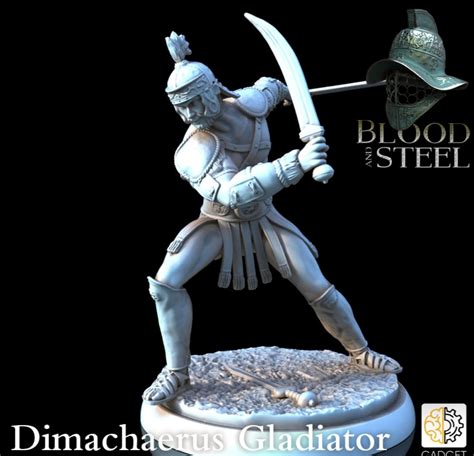 Dimachaerus dual wielder sword fighter –