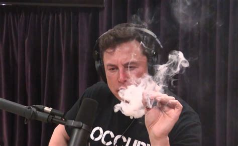 'The Joe Rogan Experience' Subscriber Count Soars After Lit Musk Interview - Tubefilter