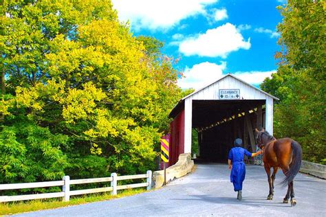 amish covered bridge | Covered bridges, Amish, Horses