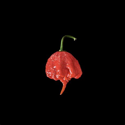 Carolina Reaper – Scoville Canada