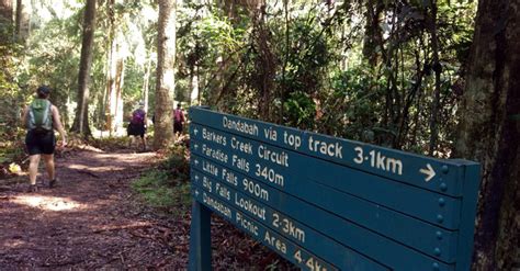 Bunya Mountains National Park: Hiking & Camping Guide