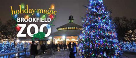 Brookfield Zoo Holiday Lights - ChicagoFun.com