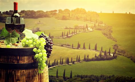 Tuscan Vineyard Wallpapers - 4k, HD Tuscan Vineyard Backgrounds on ...