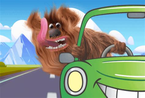 Comedy Drive Dog - Free GIF on Pixabay - Pixabay