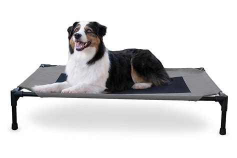 The 11 Best Cooling Dog Beds, Tested by Our Dogs