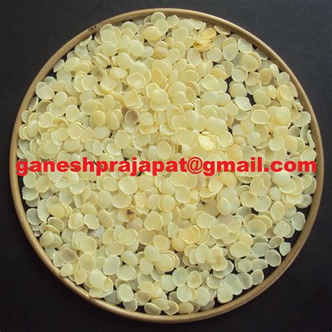 GUAR GUM INFORMATION AND GUAR GUM CULTIVATION IN INDIA: GUAR PHOTO GALLERY