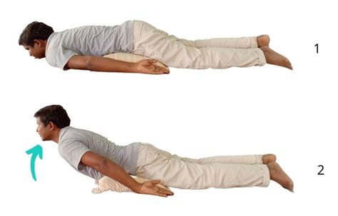 Fix Straightening of Lumbar Lordosis with 5 Top Exercises : Physiosunit