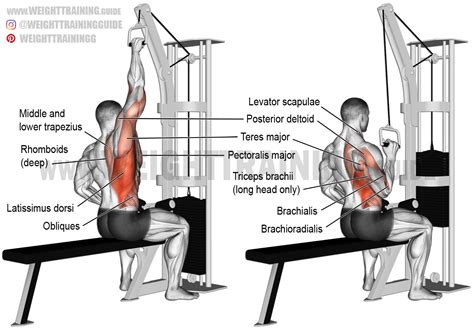 One-arm lat pull-down exercise guide and video | Weight Training Guide | Workout guide, Good ...