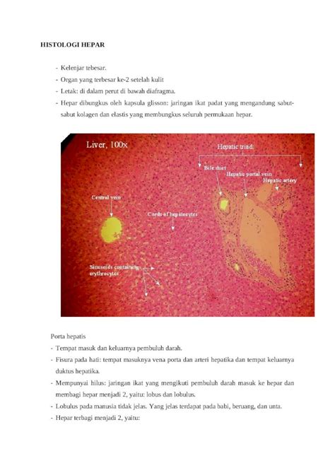 (DOCX) HISTOLOGI HEPAR - DOKUMEN.TIPS