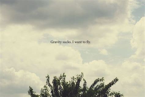 Fly Quotes - ShortQuotes.cc