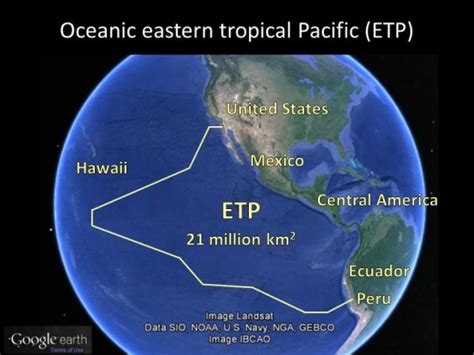 New study highlights hidden values of open ocean (Constantine Alexander's Journal)