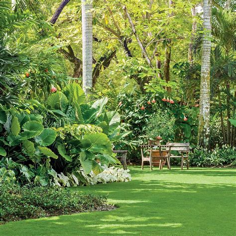 Miami gardens – Artofit