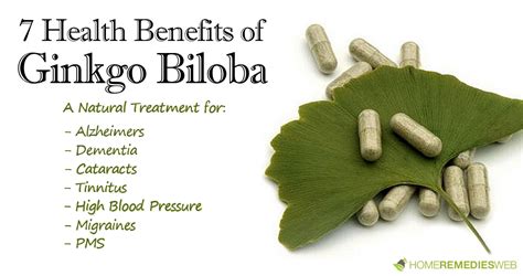 Health Benefits of Ginkgo Biloba