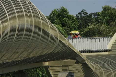 Henderson Waves is the highest pedestrian bridge...