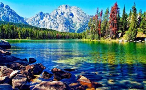 Beautiful lake mountain forest desktop wallpapers 1920x1200 ...