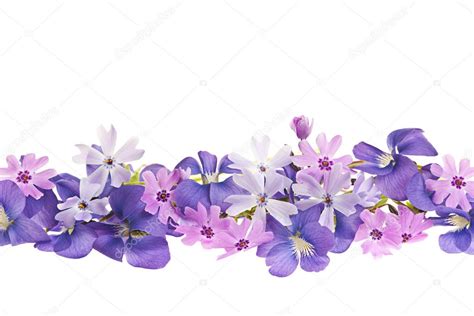 Purple spring flower border Stock Photo by ©elenathewise 11551430