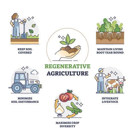 Regenerative Farming Goes Beyond Sustainability - The Mindful Fork