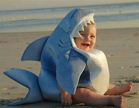 Pin by Paradise on Beach quotes | Shark costumes, Funny baby pictures, Shark baby costume