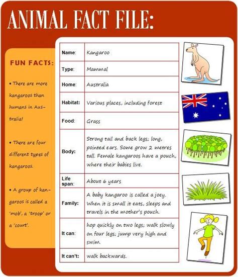 Animal fact file | Animal fact file, Animal facts, Animal pictures for kids