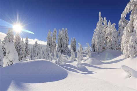 Snow Sun Wallpapers - Top Free Snow Sun Backgrounds - WallpaperAccess