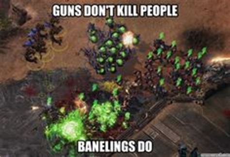 23 Starcraft Memes ideas | starcraft, starcraft 2, memes