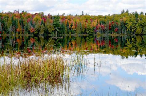 Fall Colors In Algonquin Park 2014