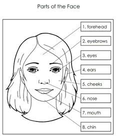Body parts - My Face interactive worksheet | Body parts, Learning english for kids, English ...