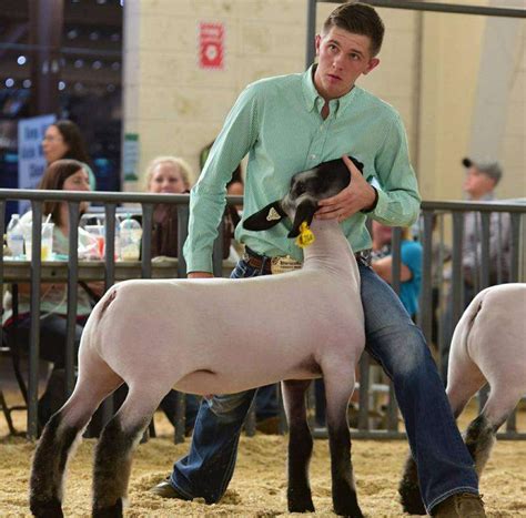 Local 4-H members win big at Colorado State Fair - The Journal