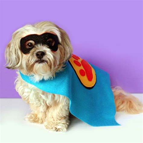 Super Hero Costumes for Dogs