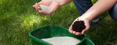 The Handy Homeowner’s Guide to Lawn Fertilization | Gecko Green